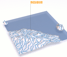 3d view of Medibur