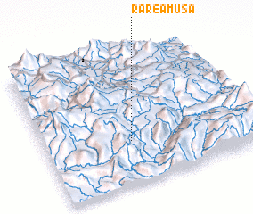 3d view of Rare-Amusa