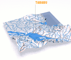 3d view of Tababu