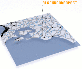 3d view of Blackwood Forest