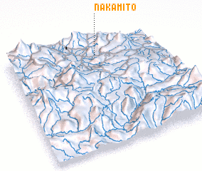 3d view of Nakamito