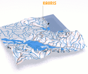3d view of Kauris