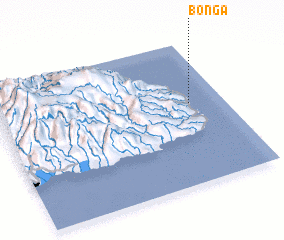 3d view of Bonga