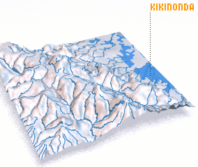 3d view of Kikinonda