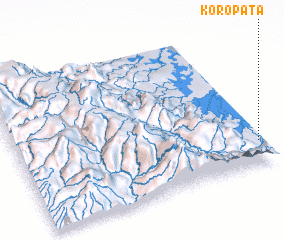 3d view of Koropata