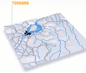 3d view of Tonkama