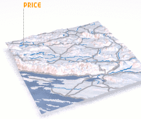 3d view of Price