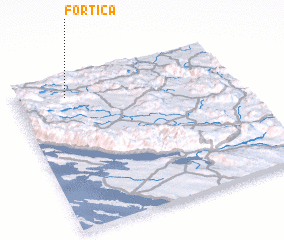 3d view of Fortica