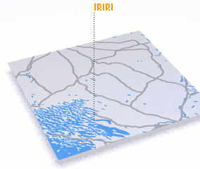 3d view of Iriri