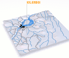 3d view of Kilembo I