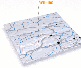 3d view of Benking