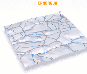 3d view of Camongua