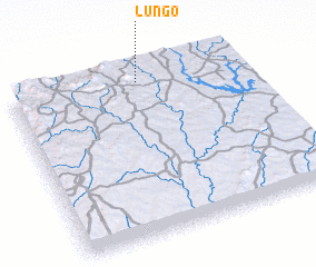 3d view of Lungo