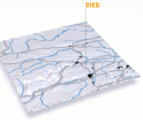 3d view of Ried