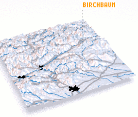 3d view of Birchbaum