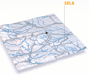 3d view of Sela