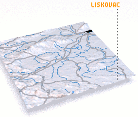 3d view of Liskovac