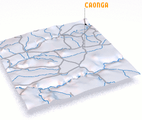 3d view of Caonga