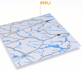3d view of Oppli