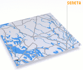 3d view of Seneta