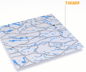 3d view of Tokarp