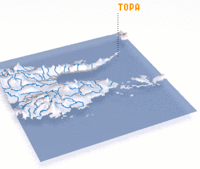 3d view of Topa