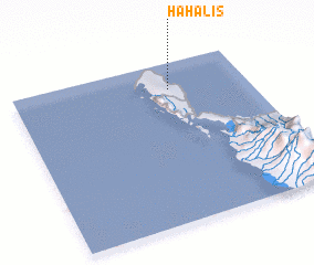 3d view of Hahalis