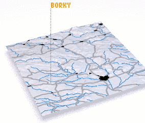 3d view of Borky