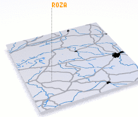 3d view of Róża