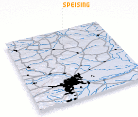 3d view of Speising