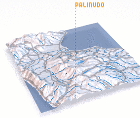 3d view of Palinudo