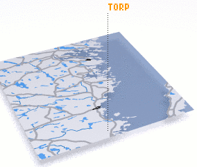 3d view of Torp