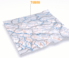 3d view of Tubini