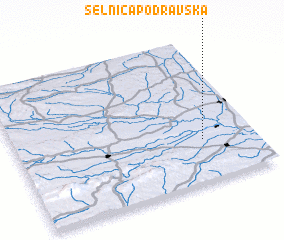 3d view of Selnica Podravska