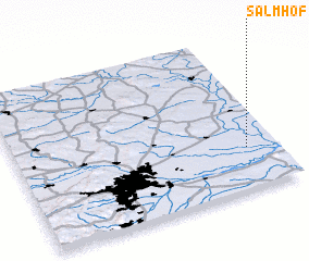 3d view of Salmhof