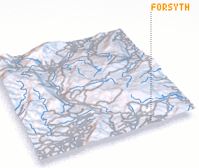 3d view of Forsyth