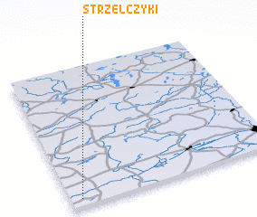 3d view of Strzelczyki