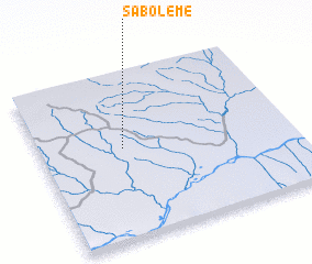 3d view of Saboleme