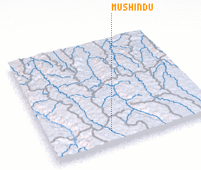 3d view of Mushindu