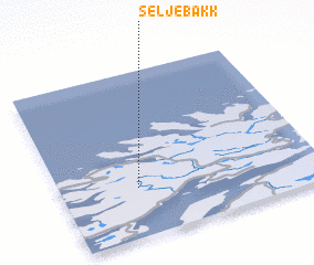 3d view of Seljebakk