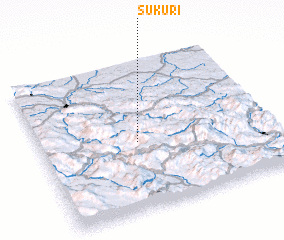 3d view of Sukuri