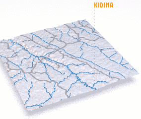 3d view of Kidima