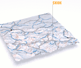 3d view of Skok