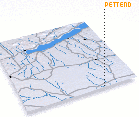 3d view of Pettend