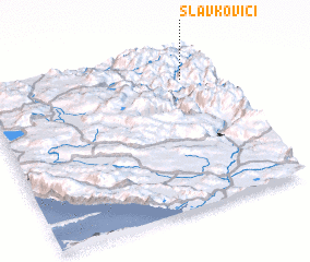 3d view of Slavkovići