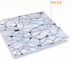 3d view of Police