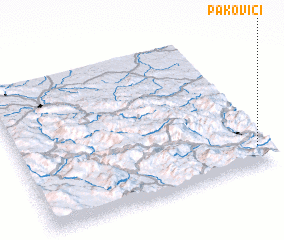 3d view of Pakovići