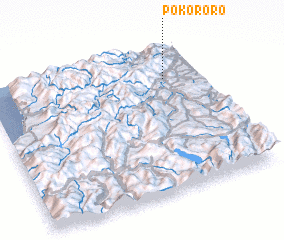 3d view of Pokororo