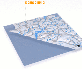 3d view of Pamapuria