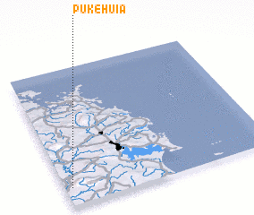 3d view of Pukehuia